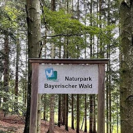 Ferienwohnung Theresa Waldkirchen Exterior foto
